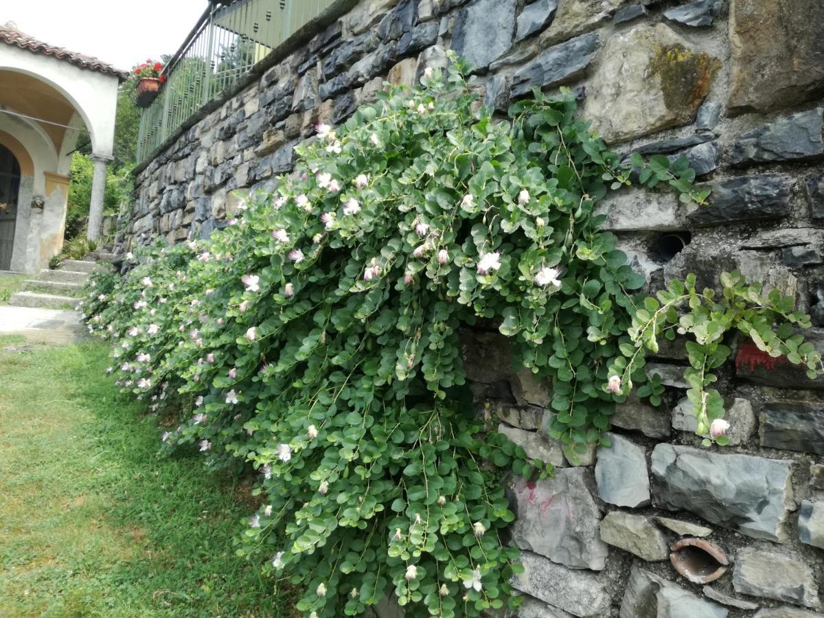 Balcone Dei Limoni Apartman Nesso Kültér fotó